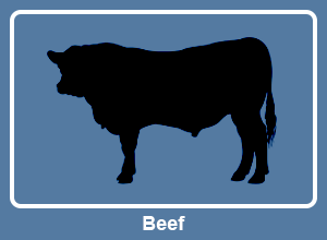 Beef