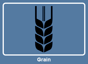 Grain