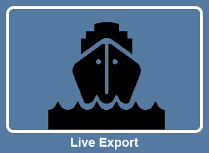 Live Export